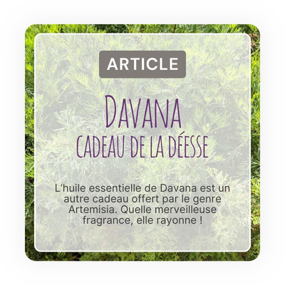 Lire l'article complet